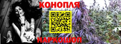 стаф Волжск