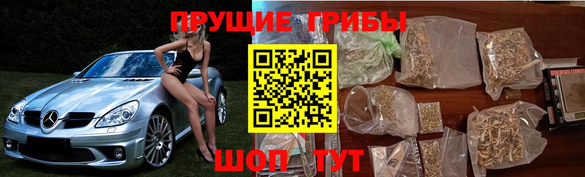 Псилоцибиновые грибы прущие грибы Беслан